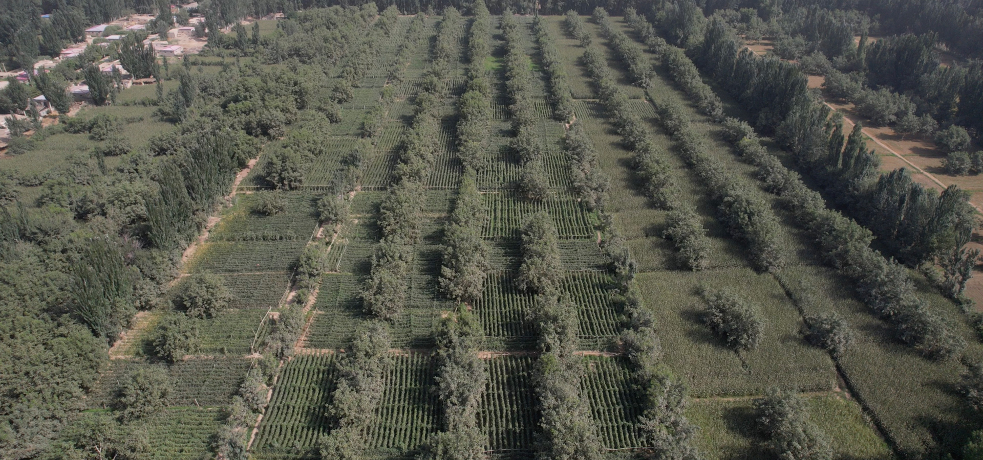 原生产地 · 风土溯源